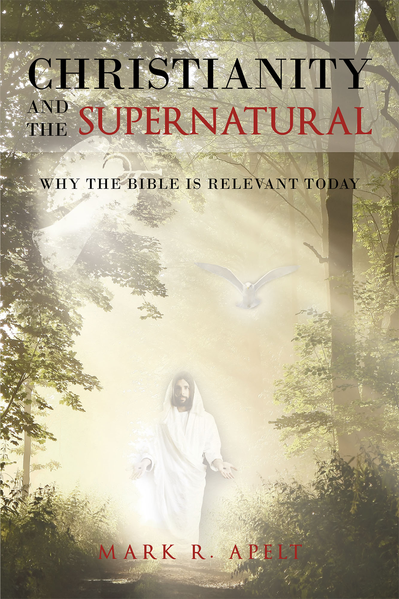 Christianity And The Supernatural: Why the Bible is Relevant Today Cover Image