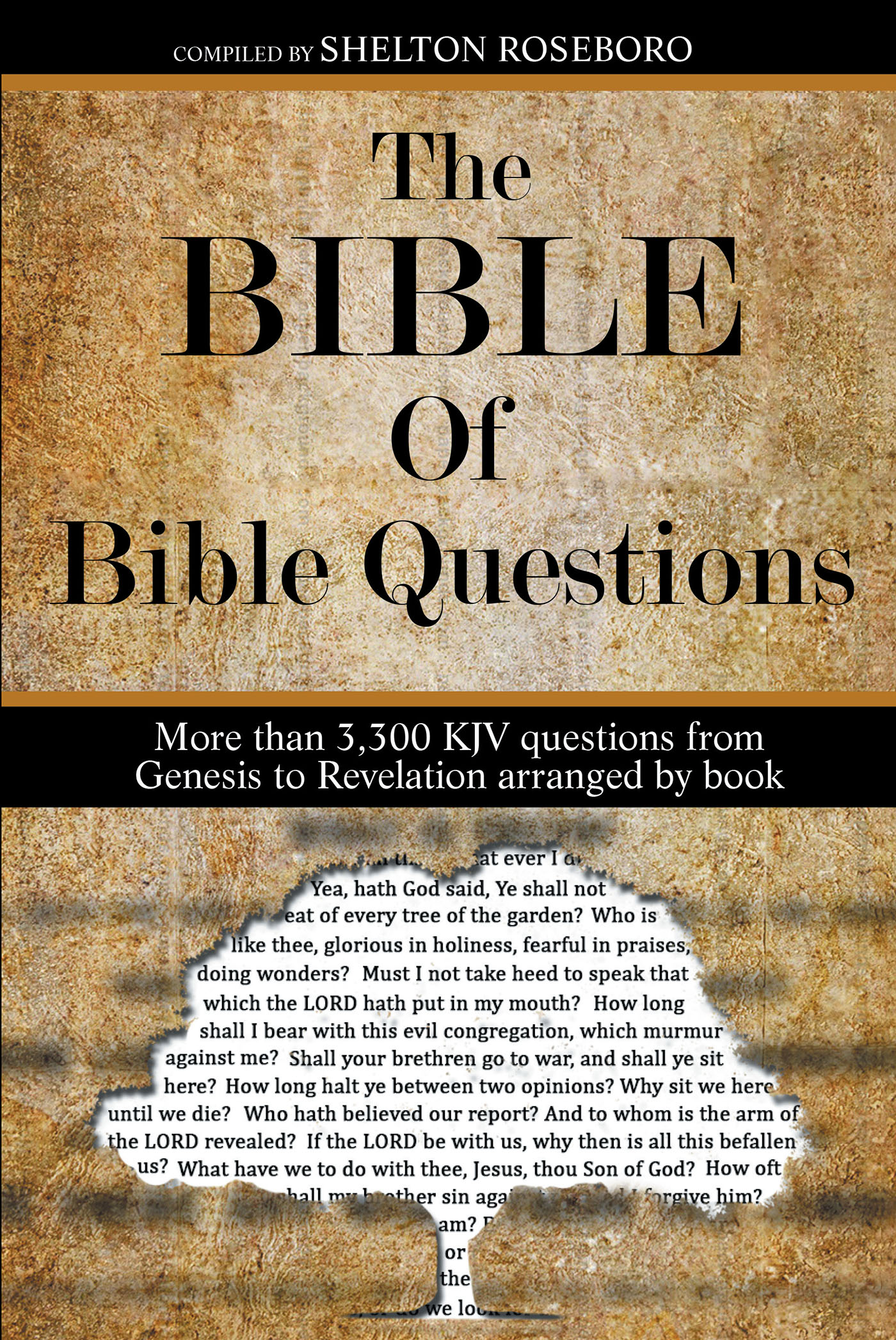 The Bible Of Bible Questions Cover Image