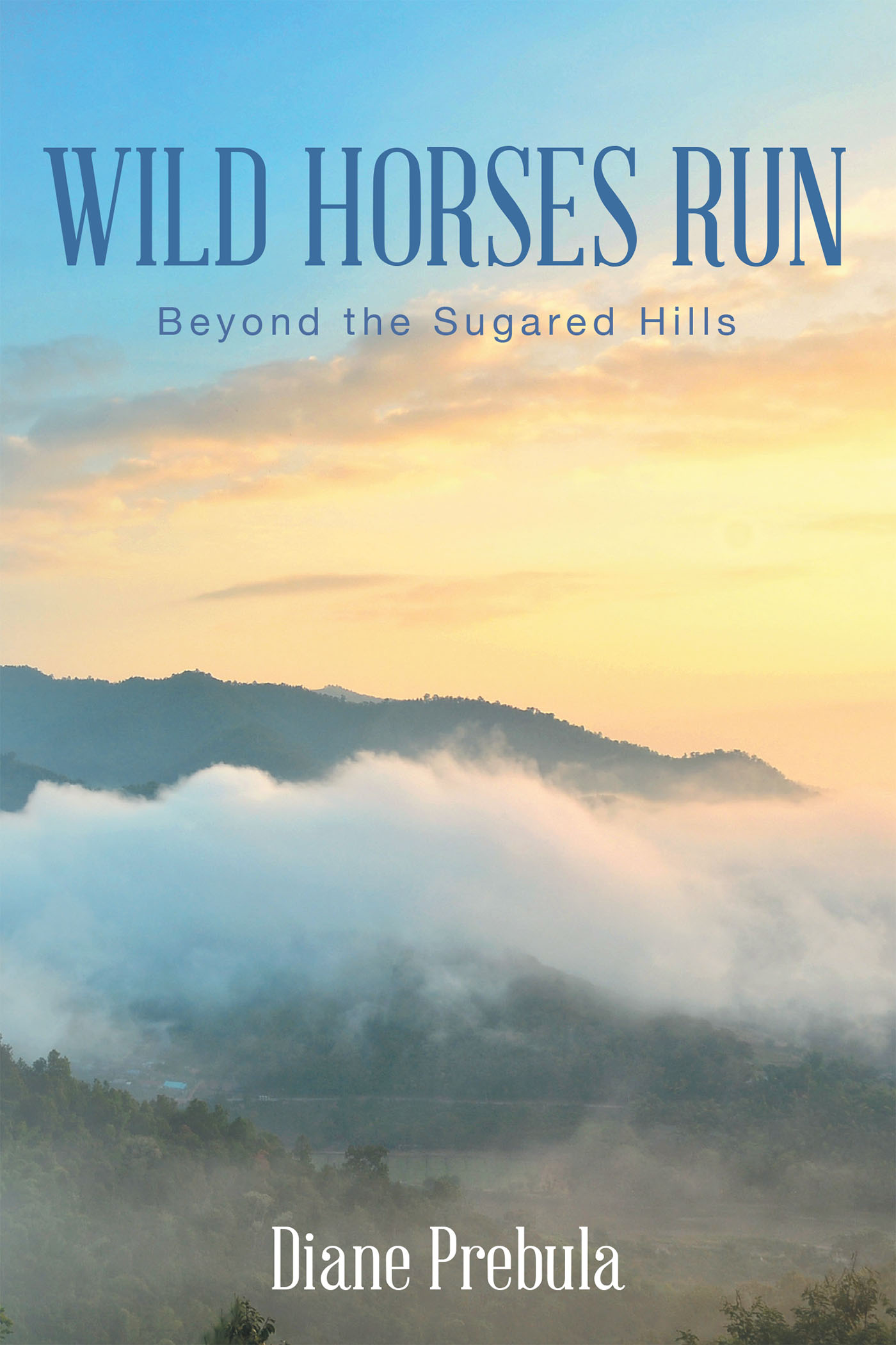 Wild Horses Run: Beyond the Sugared Hills Cover Image