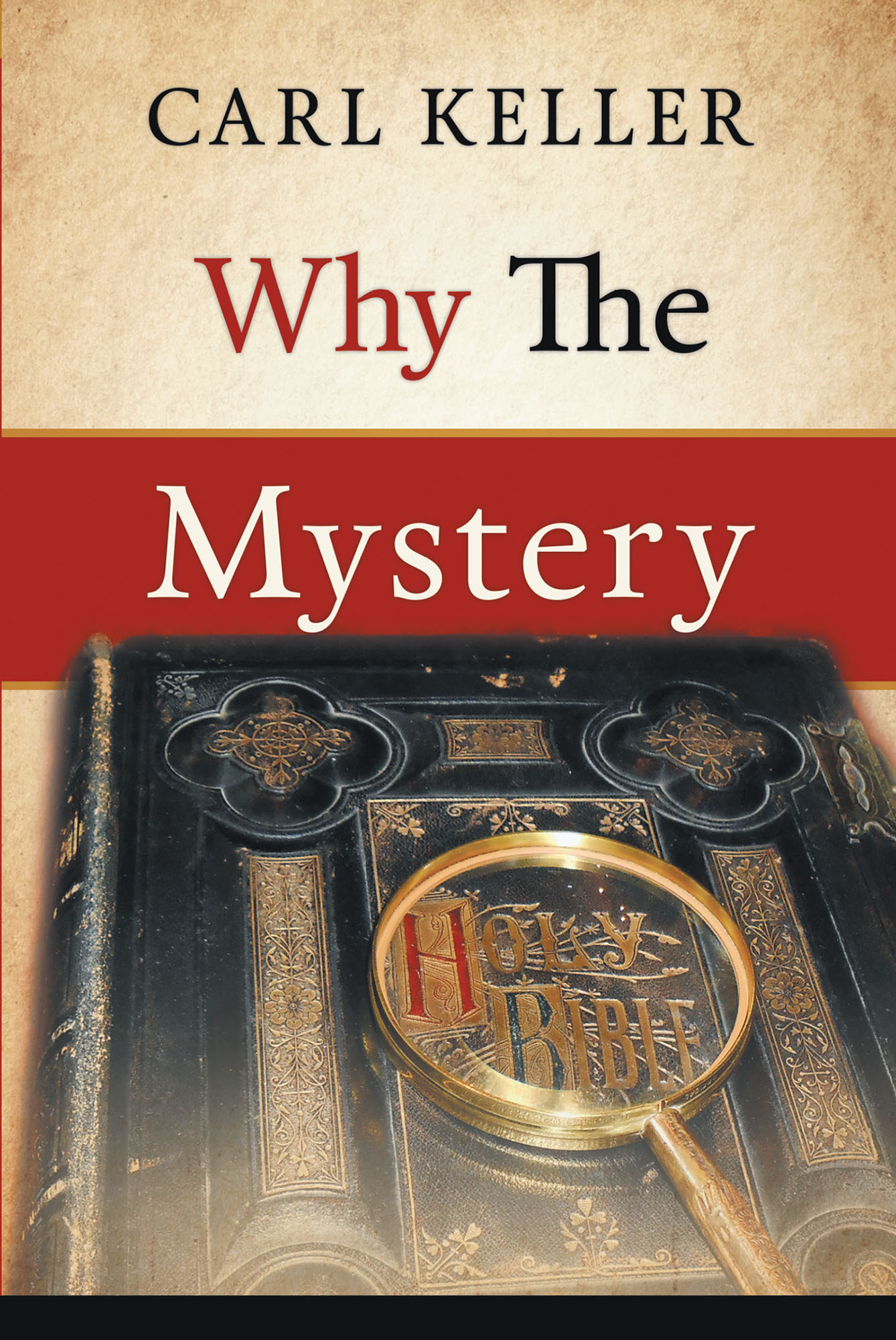 Why The Mystery Cover Image