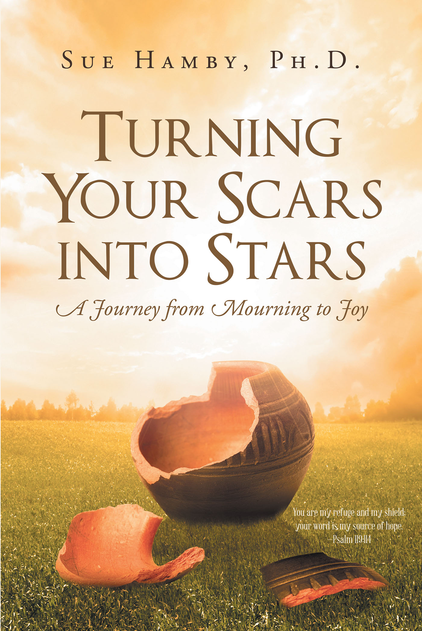 Turning Your Scars Into Stars  Cover Image