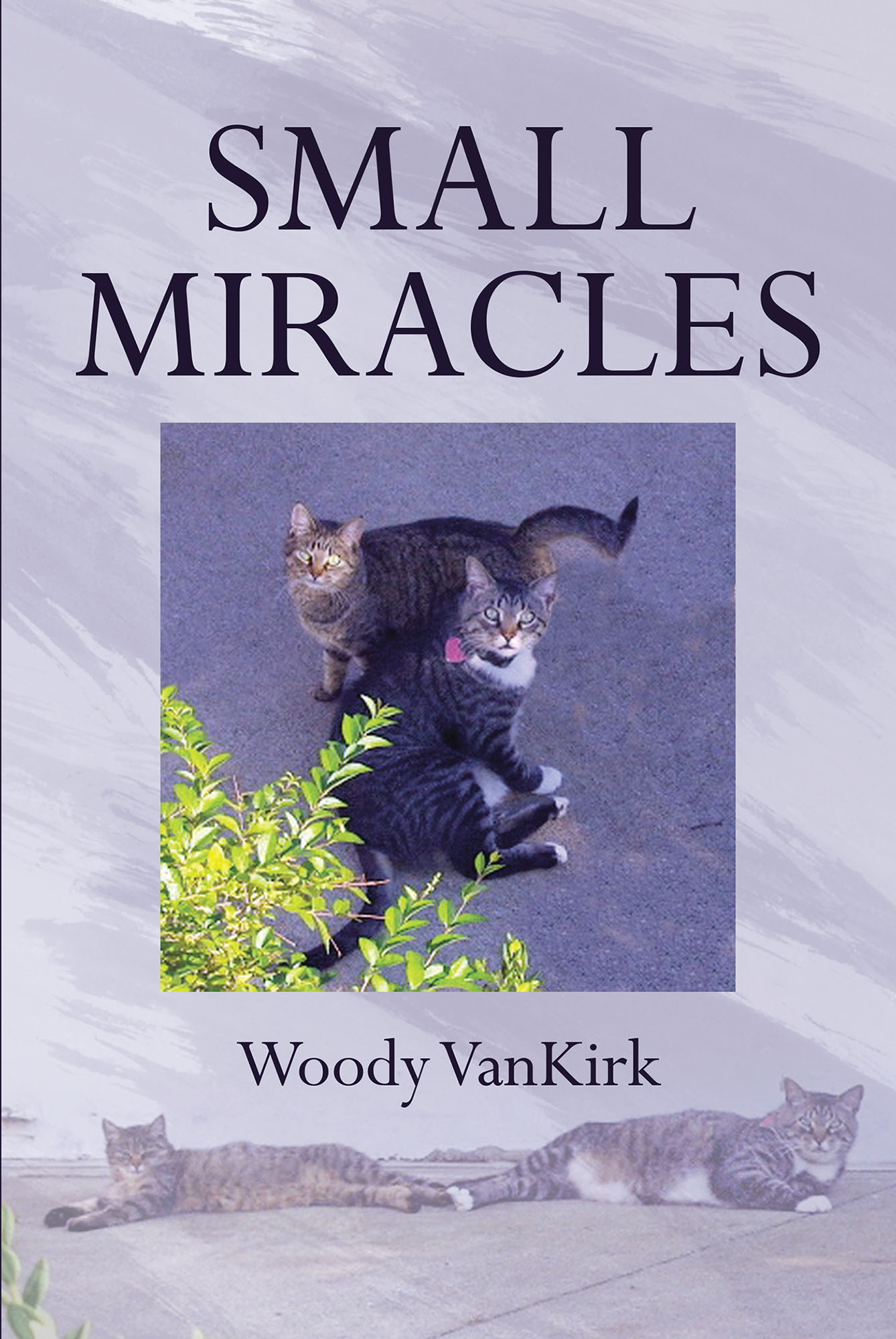 Small Miracles Cover Image