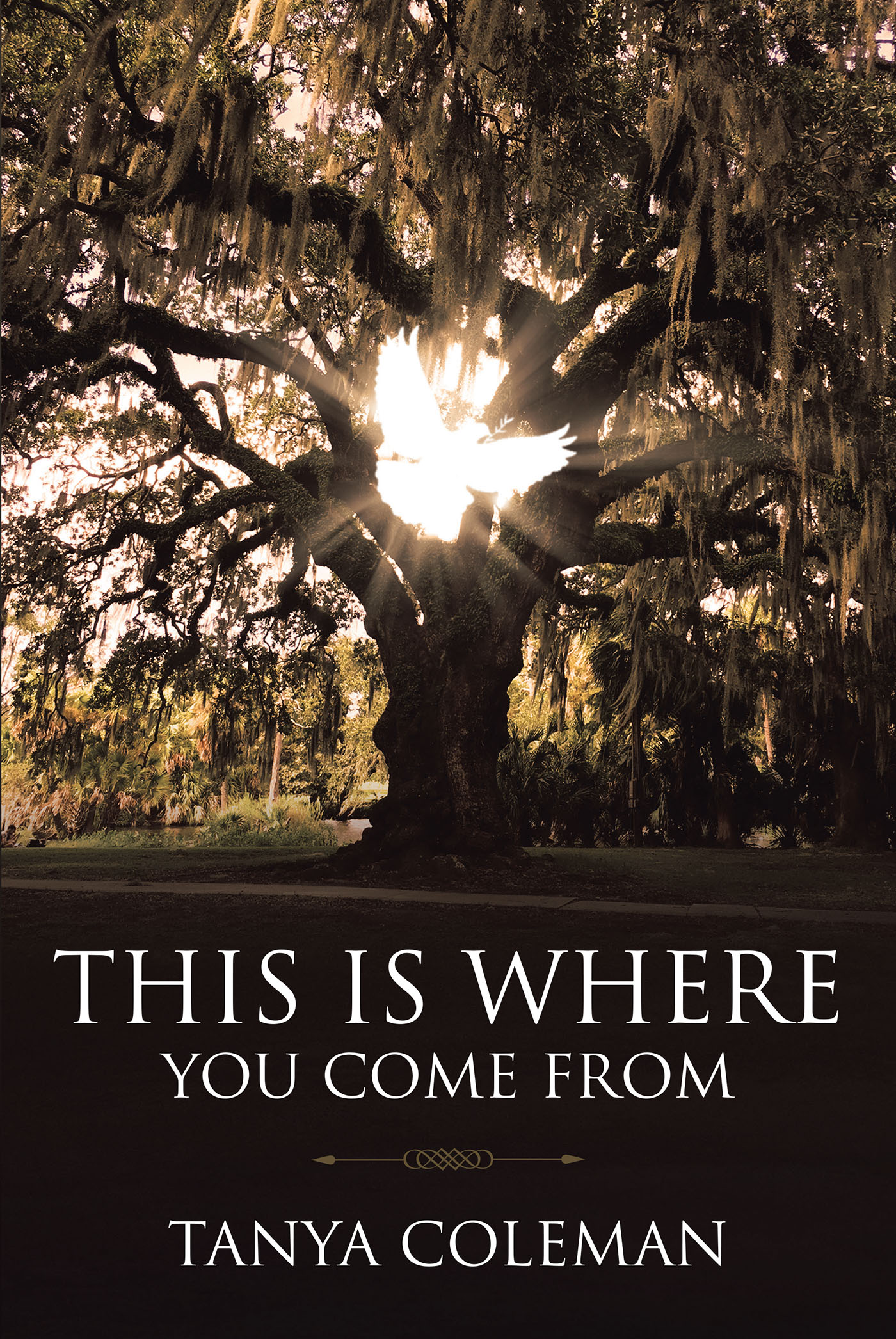 THIS is Where You Come From Cover Image