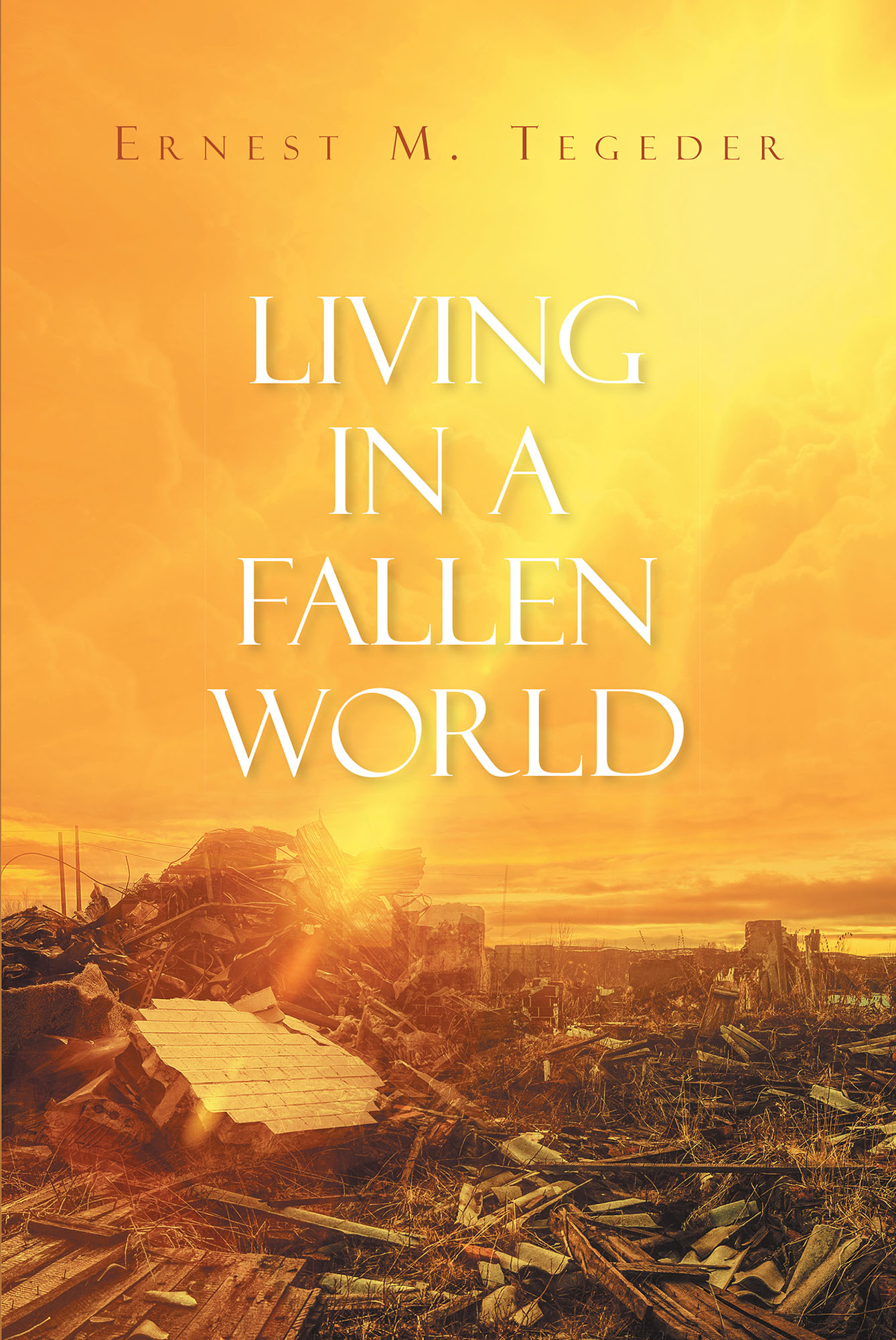 Living in a Fallen World Cover Image