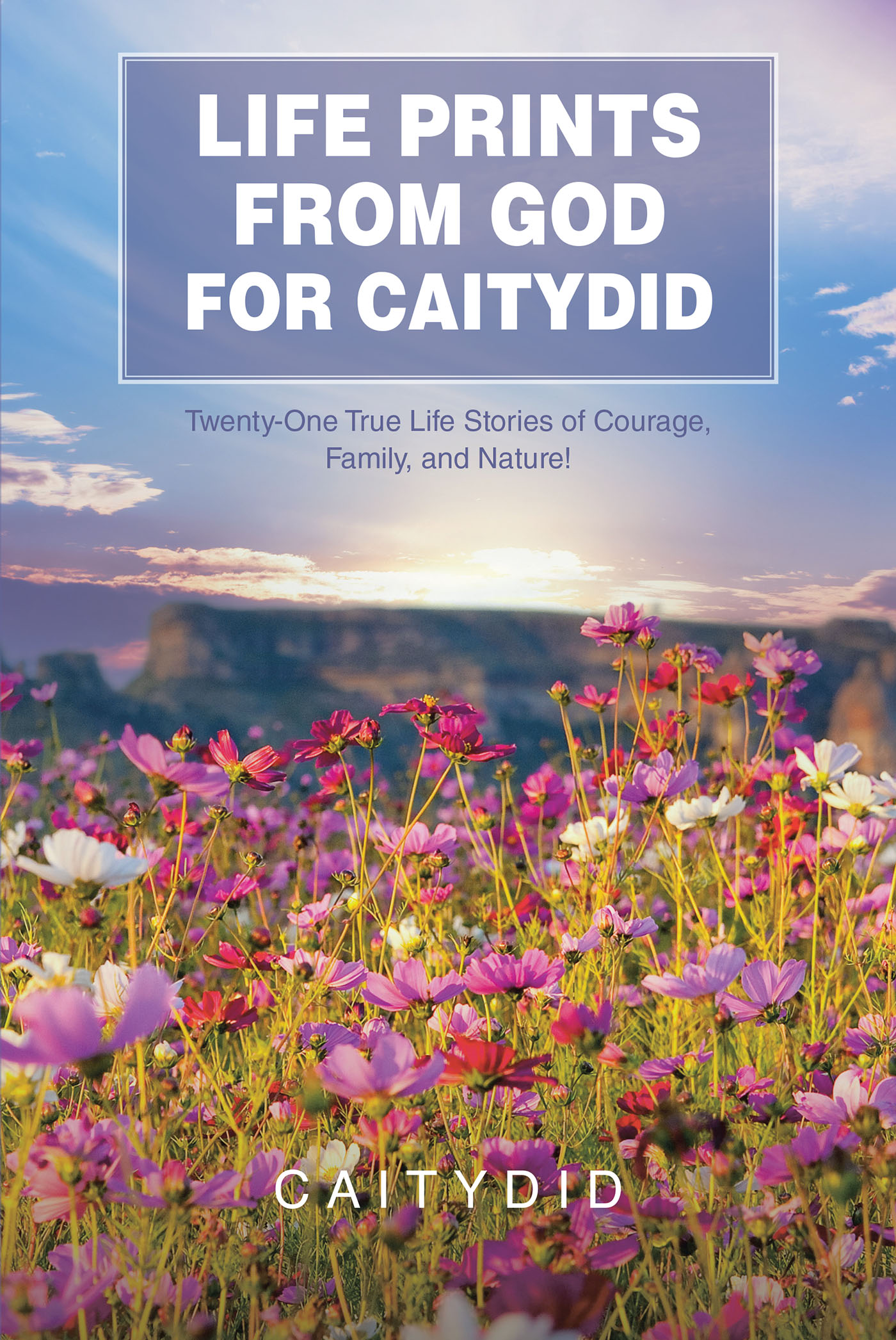 LIFE PRINTS FROM GOD FOR CAITYDID Cover Image