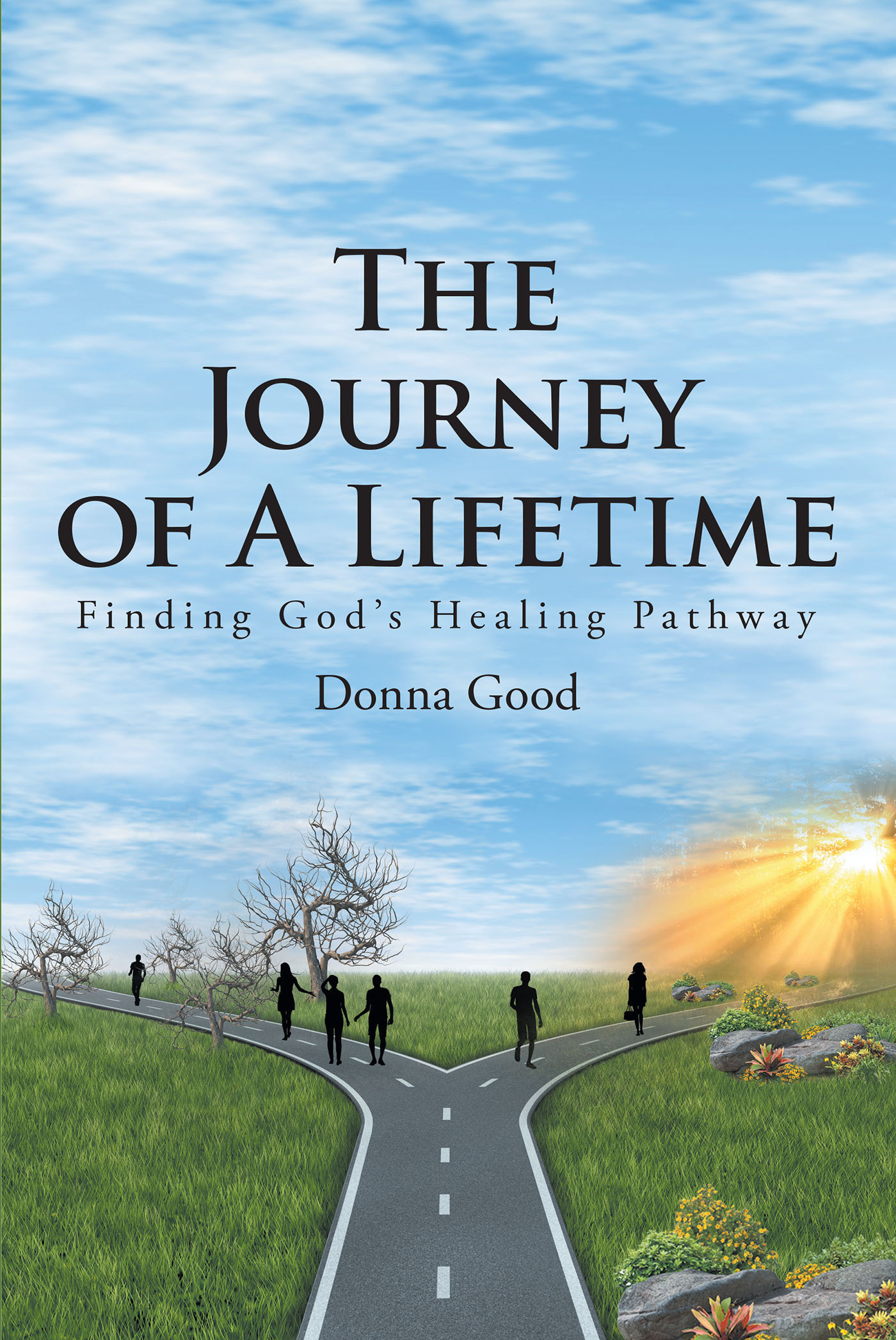 The Journey of a Lifetime Cover Image