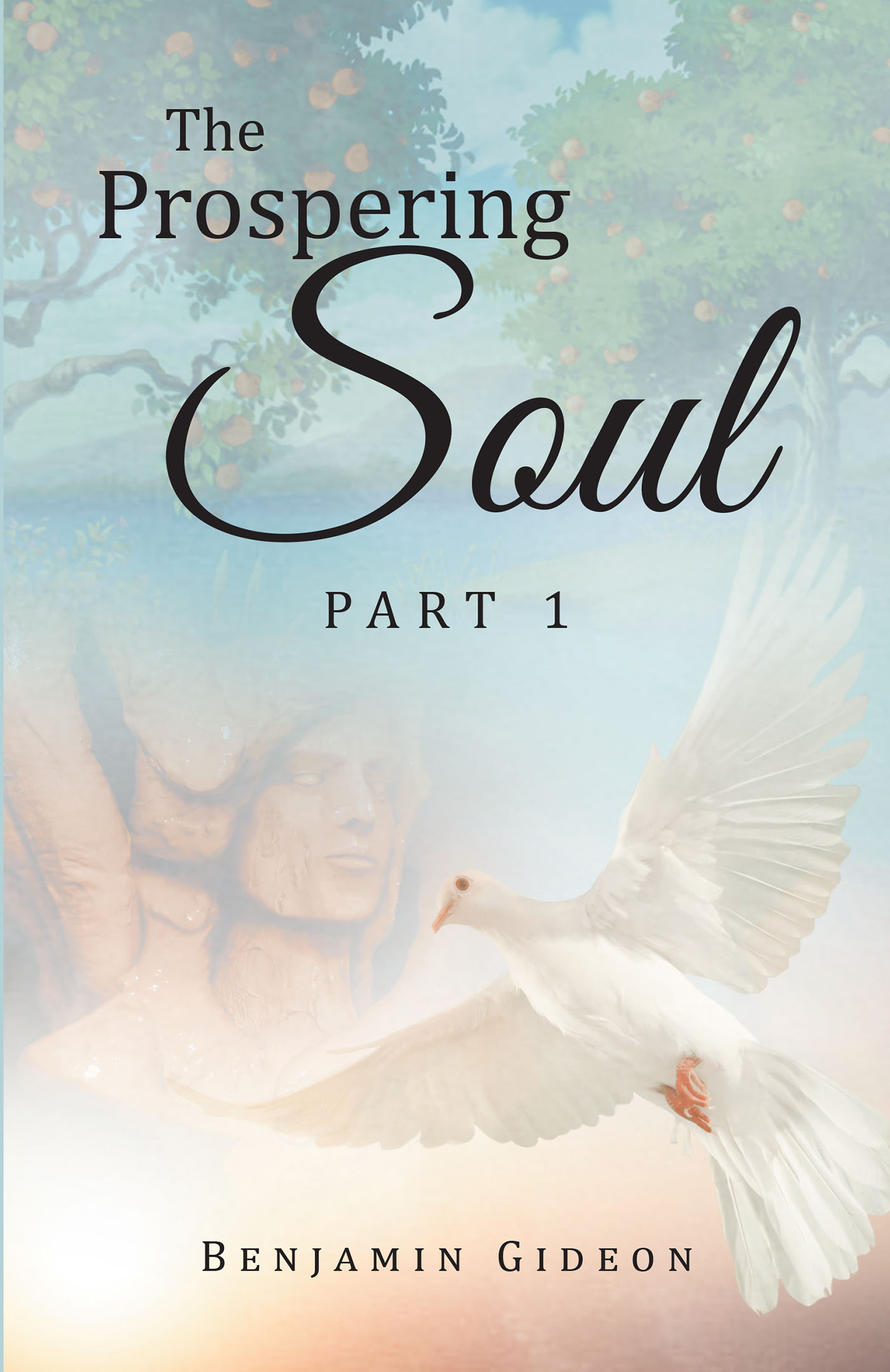 The Prospering Soul Cover Image