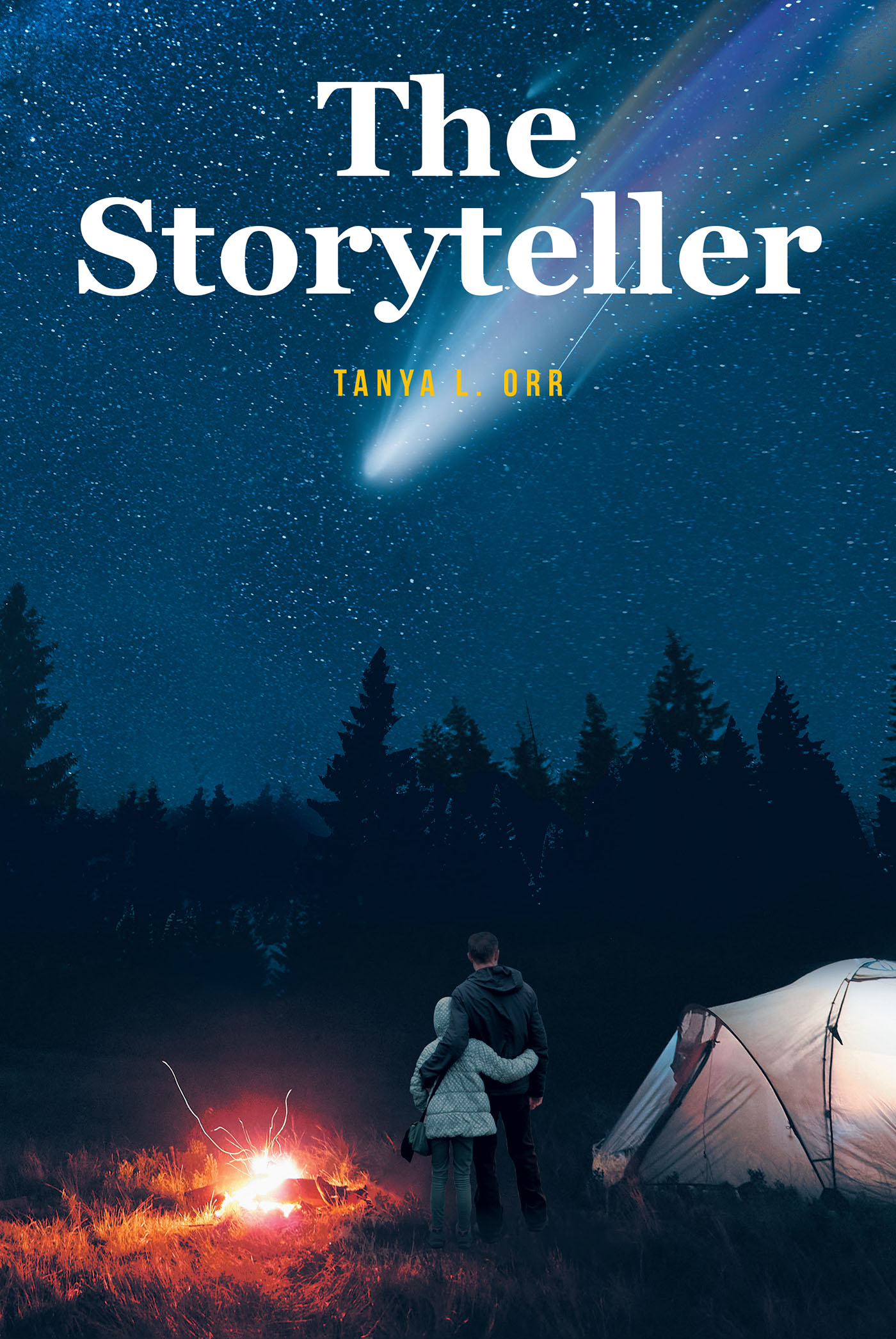 The Storyteller Cover Image