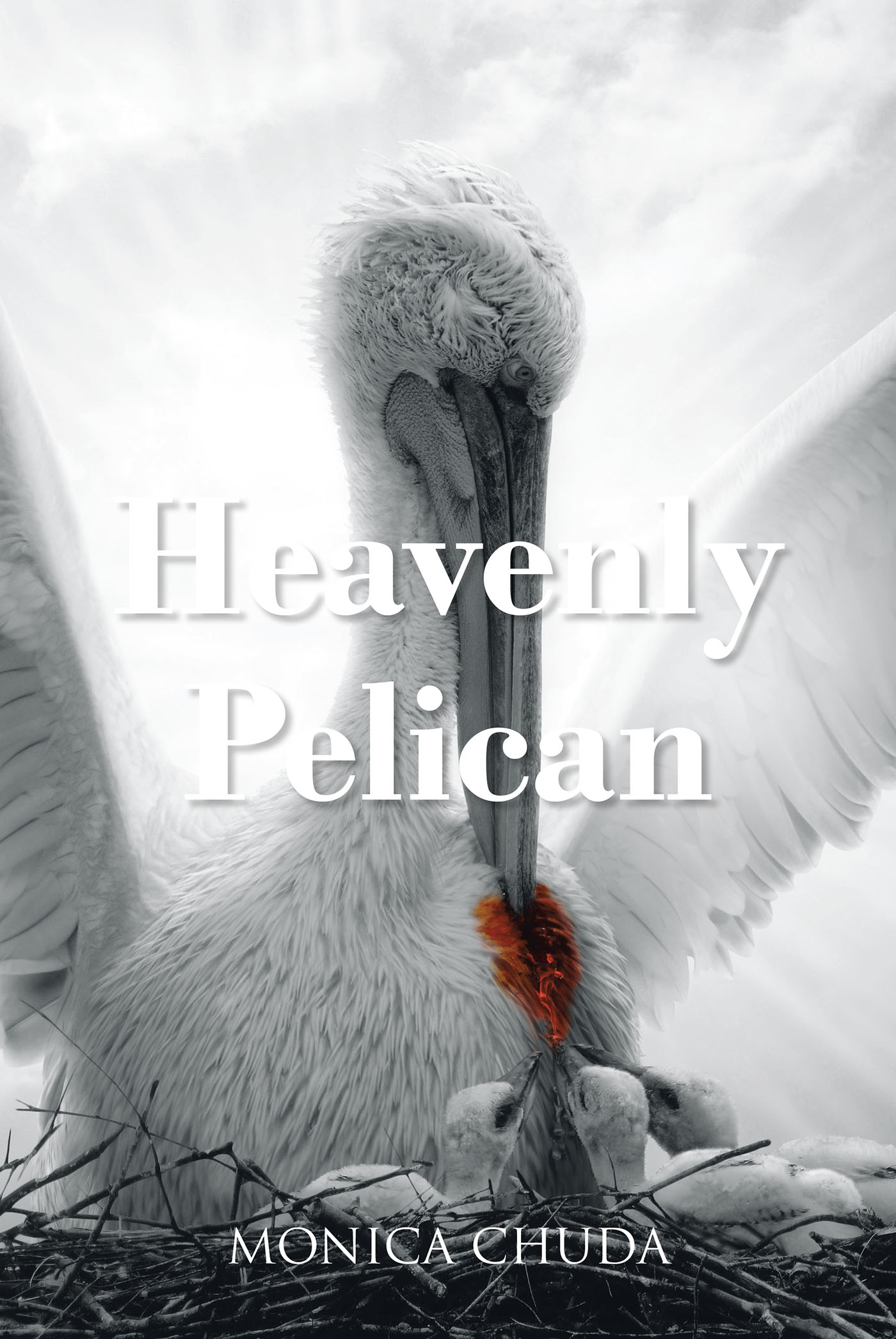 Heavenly Pelican Cover Image