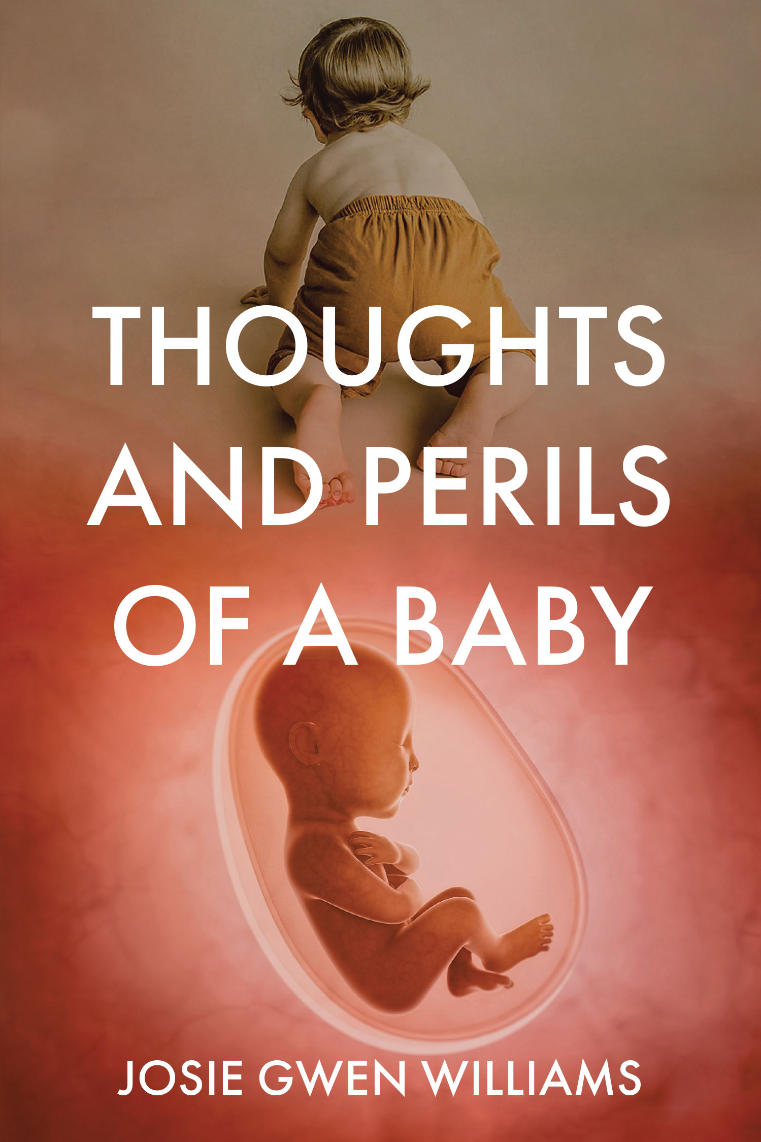 Thoughts and Perils of a Baby Cover Image