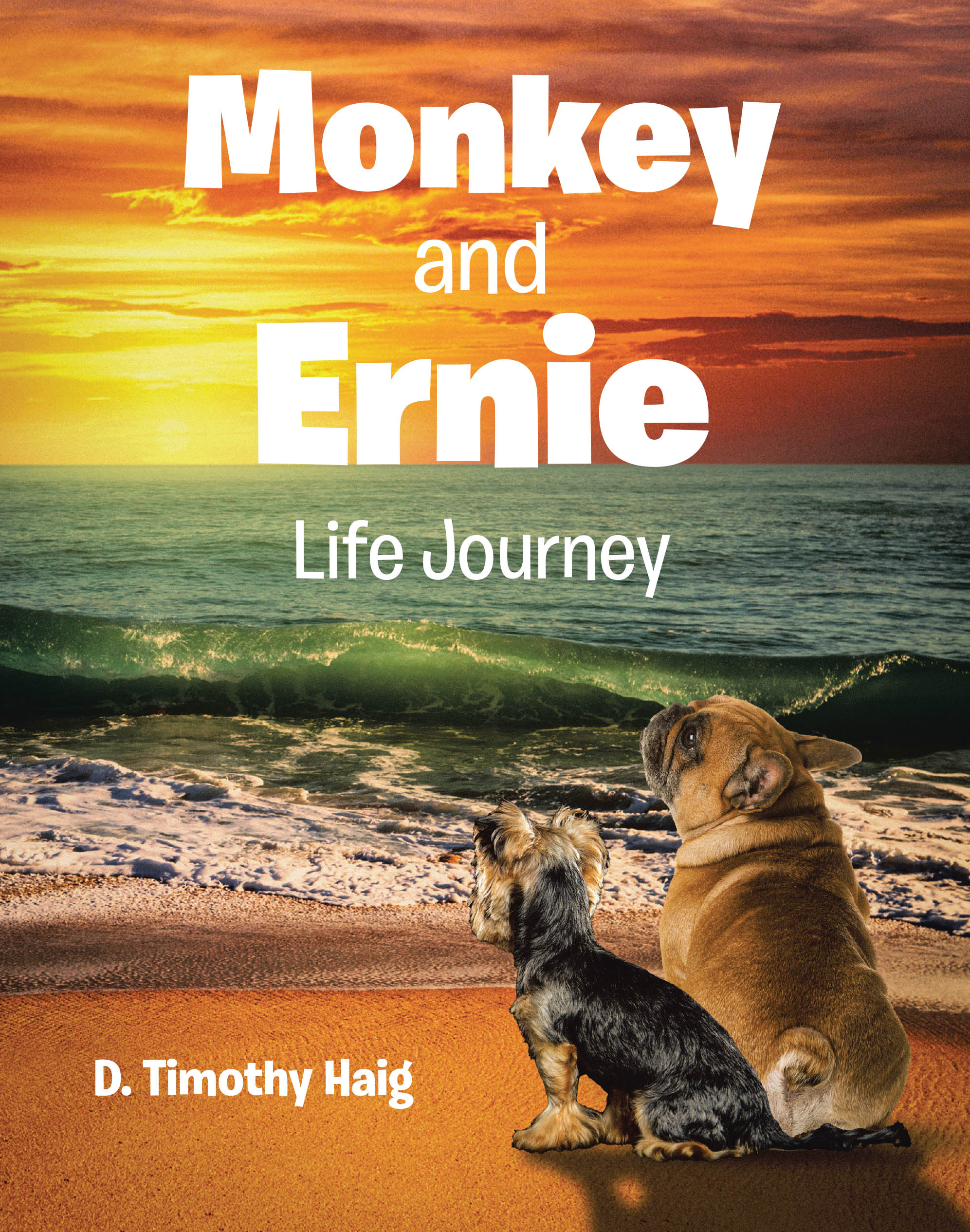 Monkey and Ernie Cover Image