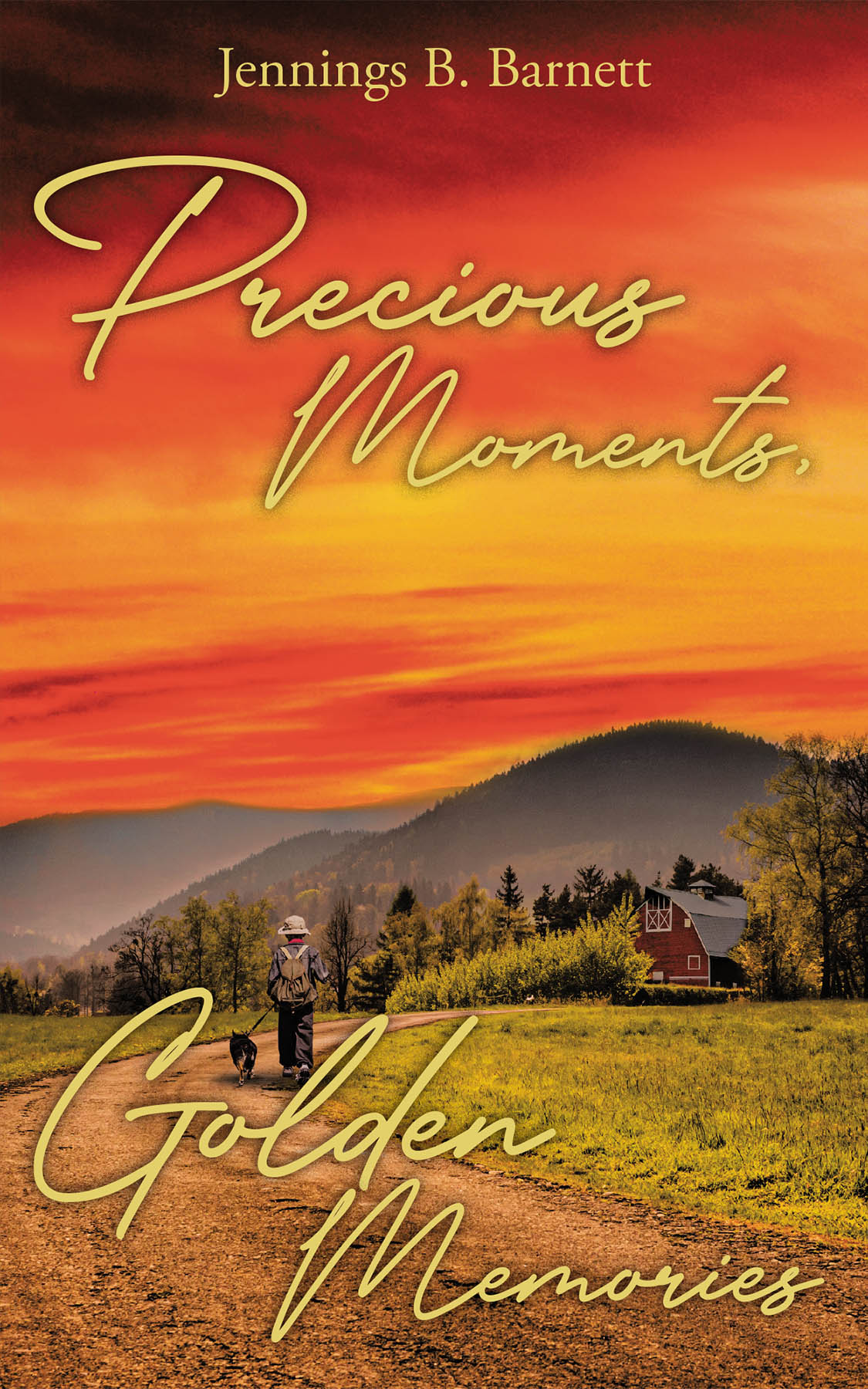 Precious Moments, Golden Memories Cover Image