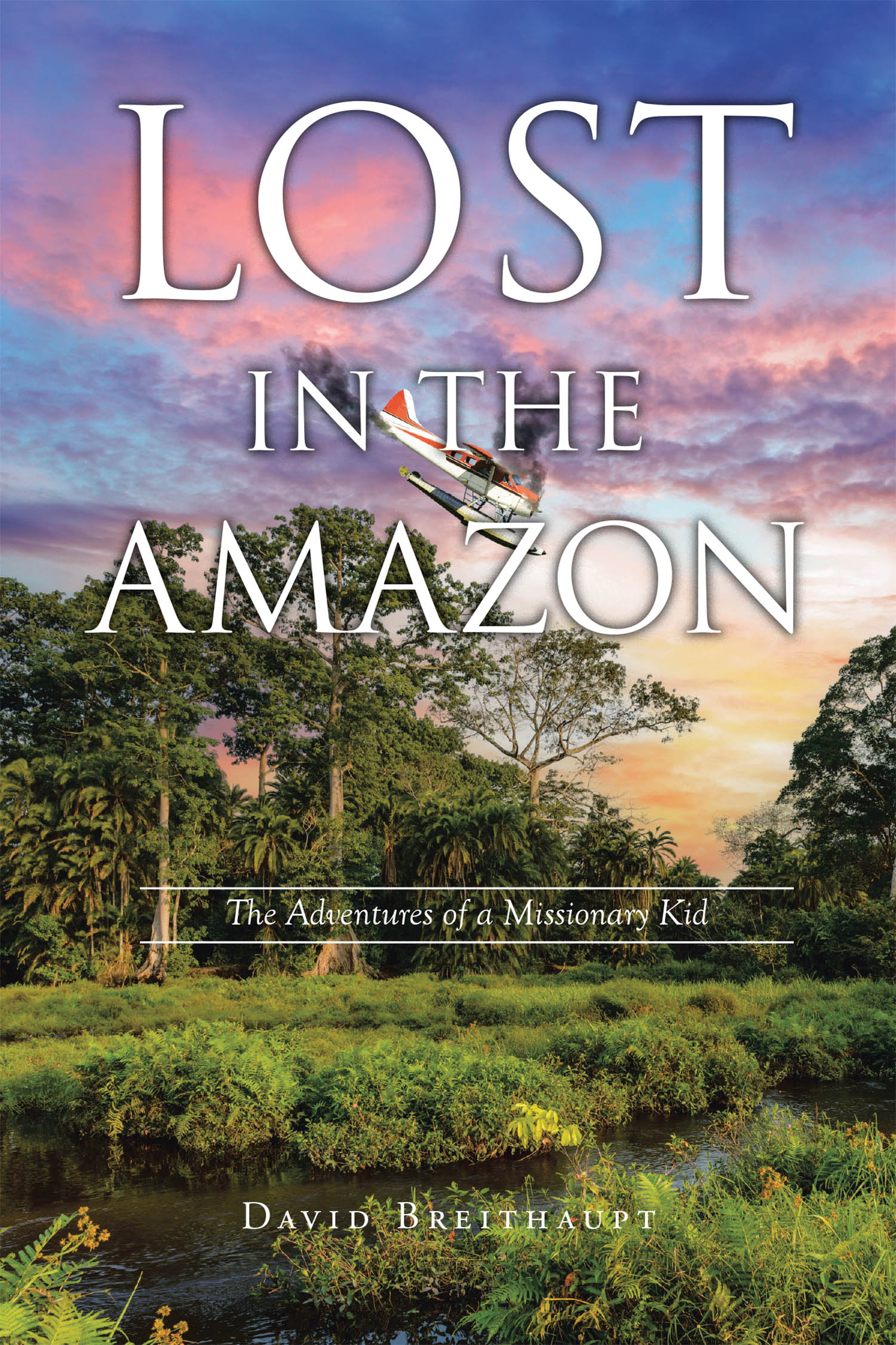 Lost in the Amazon   Cover Image