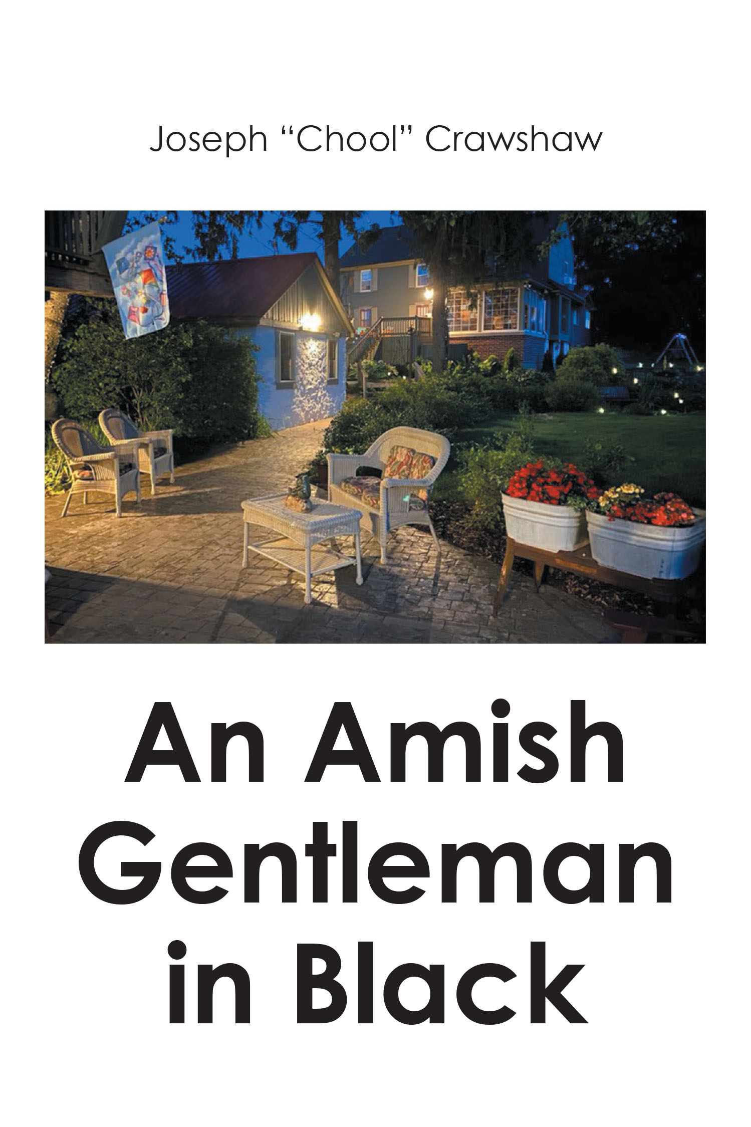 An Amish Gentleman in Black Cover Image